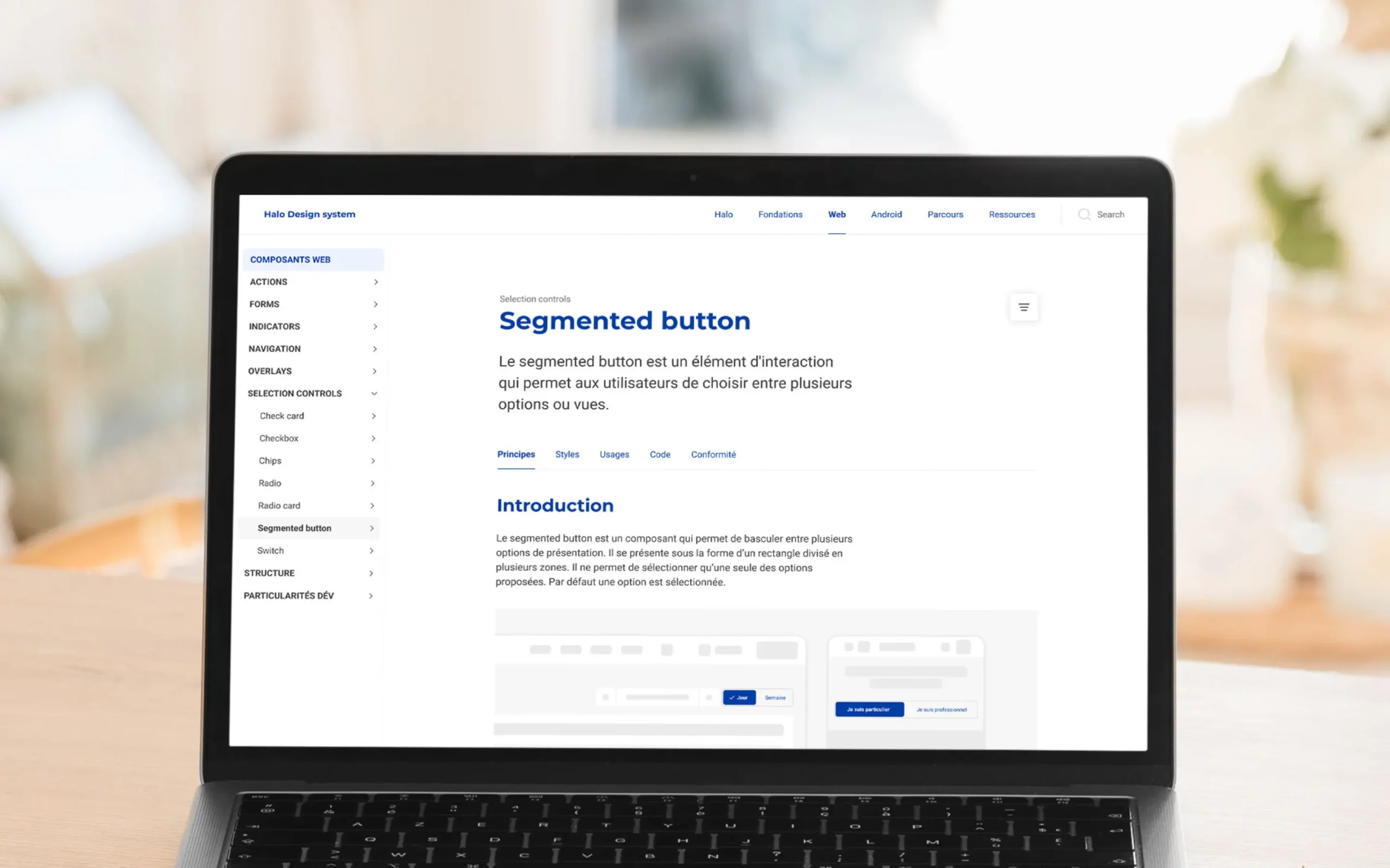 Vue d'ensemble de la documentation du design system Halo présentant les règles d'utilisation des composants web.