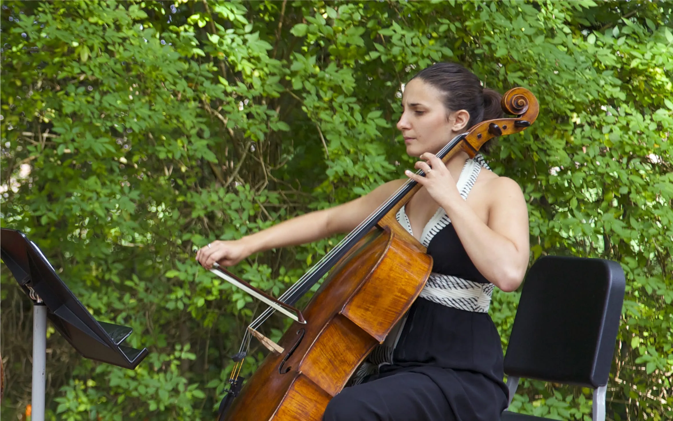 Photographie illustrant l’univers naturel et musical du festival Musique au bois.